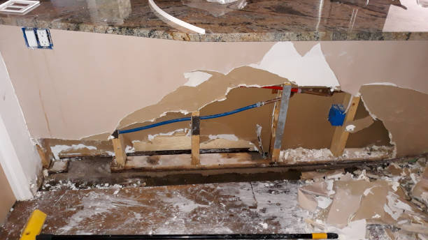 Best Mold removal after water damage  in Lakemont, PA