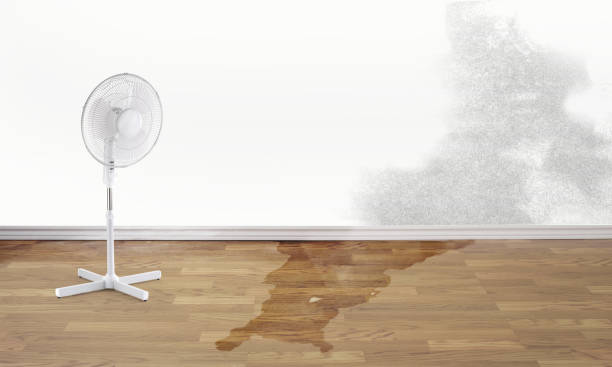 Best Water damage contractors near me  in Lakemont, PA