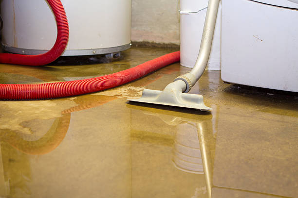 Best Water damage cleanup near me  in Lakemont, PA