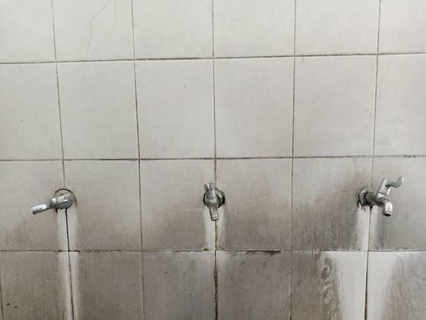 Best Water damage restoration services  in Lakemont, PA