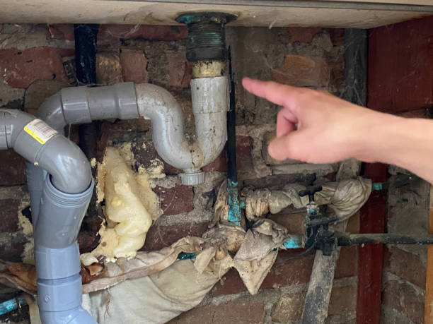 Best Carpet water damage restoration  in Lakemont, PA
