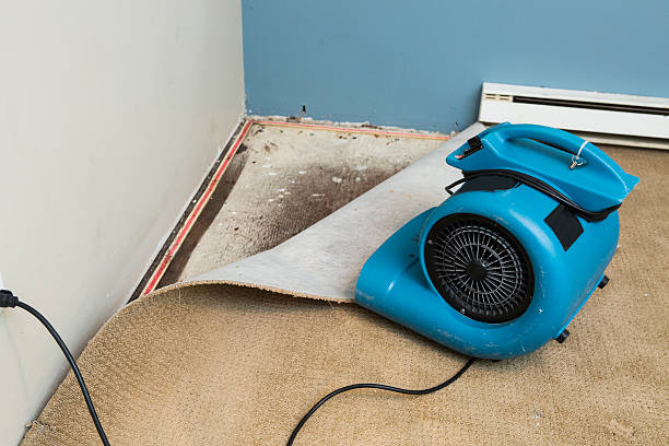 Best 24-hour water damage restoration  in Lakemont, PA